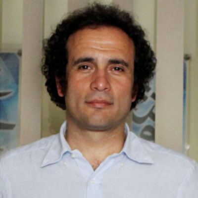 Amr Hamzawy - English edition