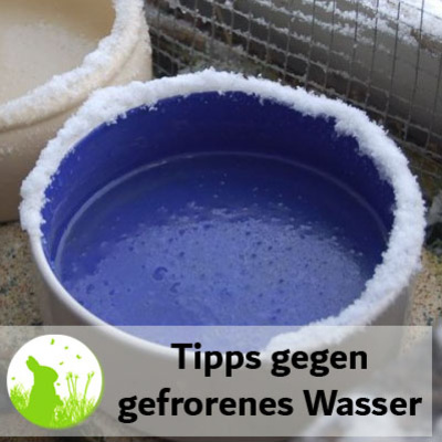 Tipps und Tricks gegen gefrorenes Wasser im Winter