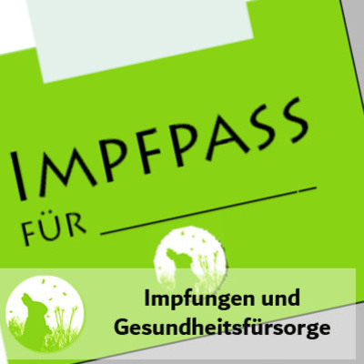 Impfungen, Seuchen und Gesundheitsfürsorge