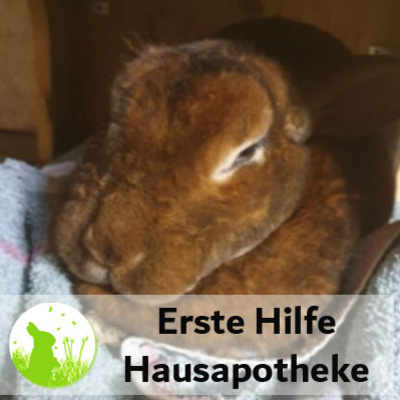 Erste Hilfe & Hausapotheke