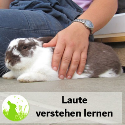 Lautsprache: Kaninchen verstehen