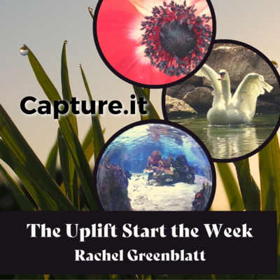 Capture.it with Rachel Greenblatt