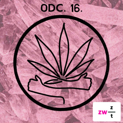 E16: Metamfetamina, czym różni się od amfetaminy? E16: Metamfetamina, czym różni się od amfetaminy?