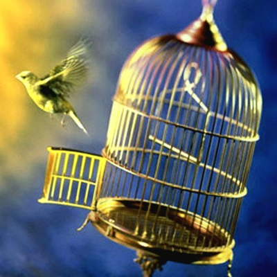 Les conséquences du choix de ton habitat et son environnement sur toi