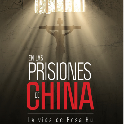 CONFERENCIAS CATOLICAS DE LA FRATERNIDAD SAN PIO X FSSPX MEXICO