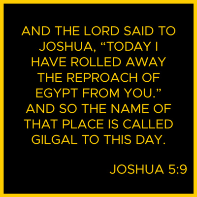 Verse Of The Day Bible Meditation