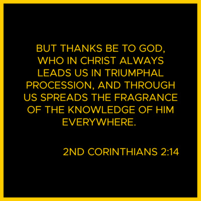 Verse Of The Day Bible Meditation