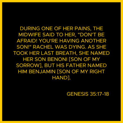 Verse Of The Day Bible Meditation