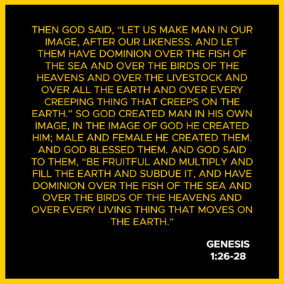 Verse Of The Day Bible Meditation
