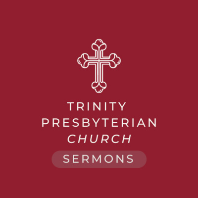 Nisi Dominus Frustra (Without God, Frustration) - Psalm 127 episode artwork