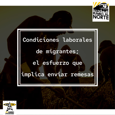 11. Condiciones laborales de migrantes; el esfuerzo que implica enviar remesas episode artwork