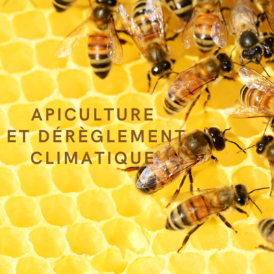 Apiculture et dérèglement climatique