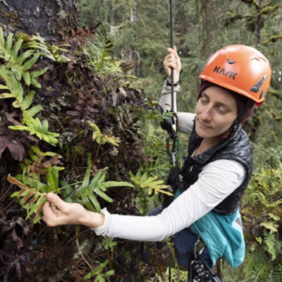 Academia and forest activism with DR JEN SANGER