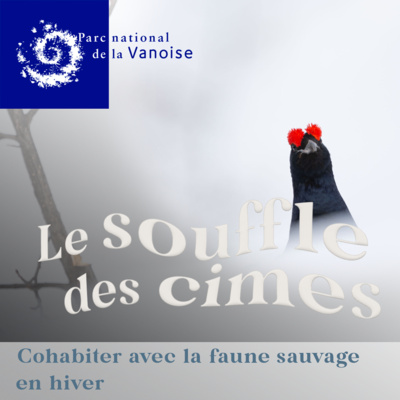 Cohabiter avec la faune sauvage episode artwork