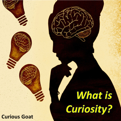 Curious Goat