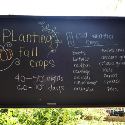 Keep Me Posted with Planet Aid: A Conversation with Chiara D'Amore from Community Ecology Institute