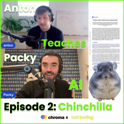 Anton Teaches Packy AI | Ep 2 | Chinchilla