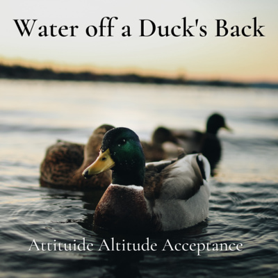 Words for Life by Attitude, Altitude and Acceptance