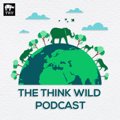 Episode 1: In Search of the World's Wild Cats - Stuart Chapman Episode 1: In Search of the World's Wild Cats - Stuart Chapman