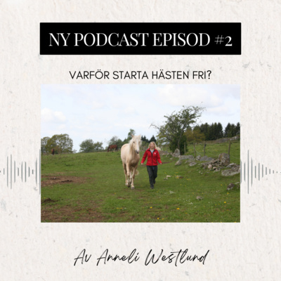 Episod #2 Varför Starta Hästen Fri?