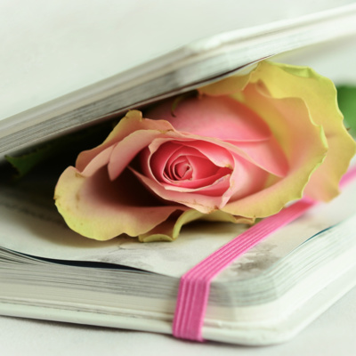 Short Stories | The Rover Vol. 01 No. 24 Short Stories | The Rover Vol. 01 No. 24
