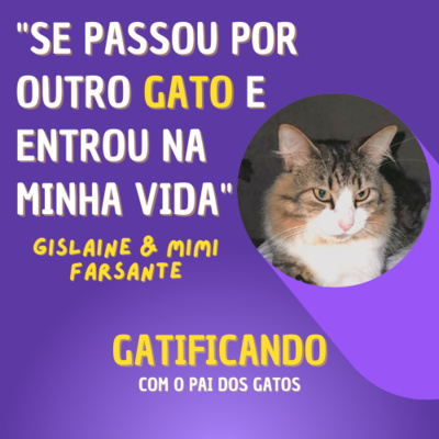 Gatificando