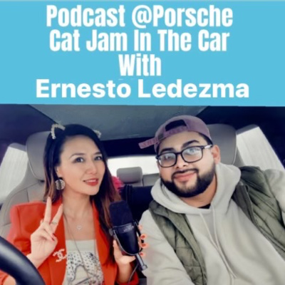 Cat Jam In The Car
