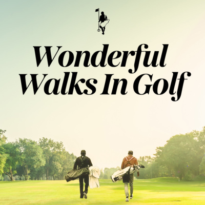 Super Fan Sprint! 3 Men & 1 PGA Tour Season To See It All!