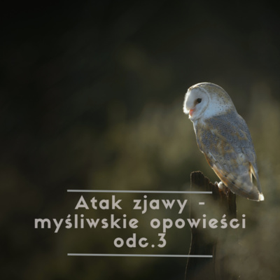 Atak zjawy - myśliwskie opowieści odc. 3