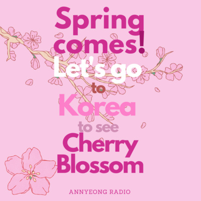 E20 봄이 와요 한국에 벚꽃 구경 가요 Spring comes! Let's go to Korea to see cherry blossom.