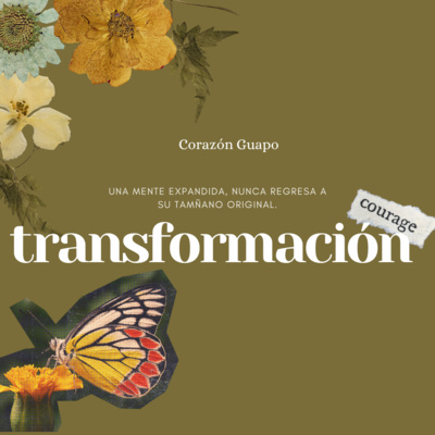 T1:E3: LA TRANSFORMACIÓN