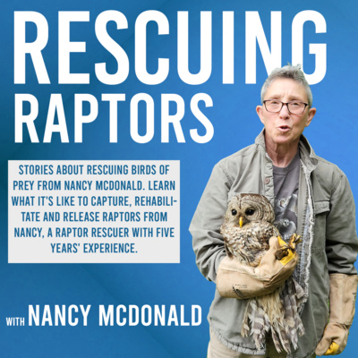 Introduction To Rescuing Raptors Introduction To Rescuing Raptors