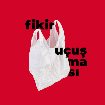 Fikir Uçuşması