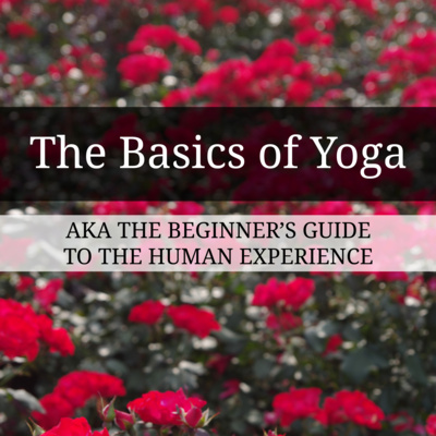 The Basics of Yoga