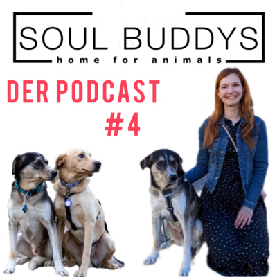 DIE SOUL BUDDYS