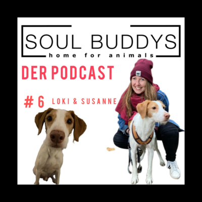 DIE SOUL BUDDYS
