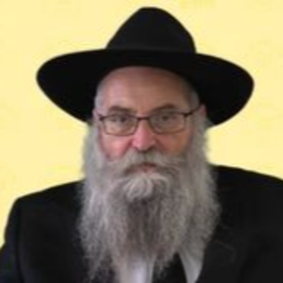 חינוך הילדים לתאריכים החסידיים בחודש אייר - הרב יוסף אברהם פיזם שליט"א episode artwork
