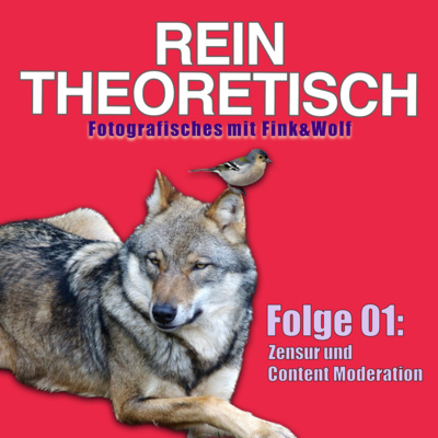 Zensur und Content Moderation Zensur und Content Moderation