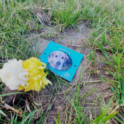 Preto, un perro que al irse dejó legado, “crear un cementerio para mascotas”