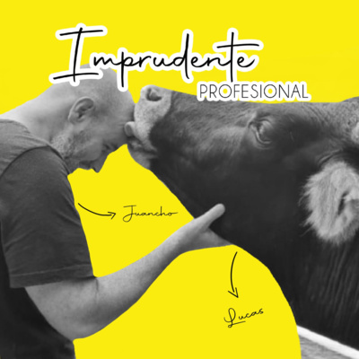 Imprudente Profesional