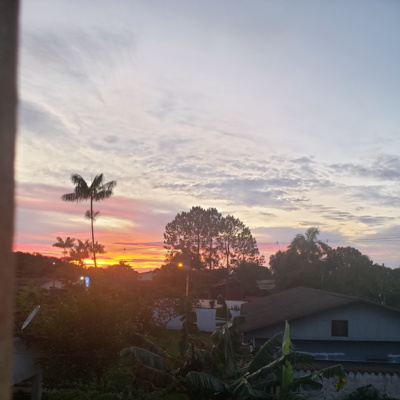 White Noise manhã pacífica com pássaros, grilos e oceano - White Noise Nature Sounds peaceful morning with birds, crickets and waves