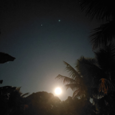 Grilos, cigarras e oceano para relaxamento profundo - Crickets, cicadas and waves deep relaxing