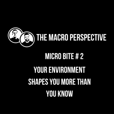 The Macro Perspective