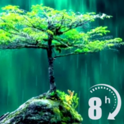 Rain Sound White Noise | 8 Hours episode artwork