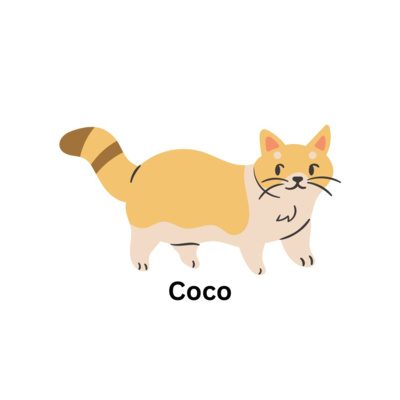 Jelly Bean the Cat Children's Bedtime Stories: "Coco the Cat" is a mischievous little cat