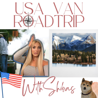 USA VAN ROADTRIP WITH SHIBAS