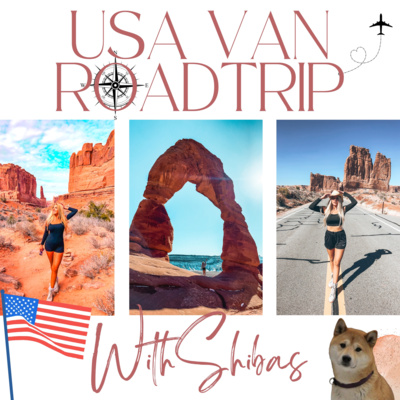 USA VAN ROADTRIP WITH SHIBAS