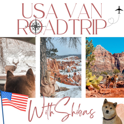 USA VAN ROADTRIP WITH SHIBAS