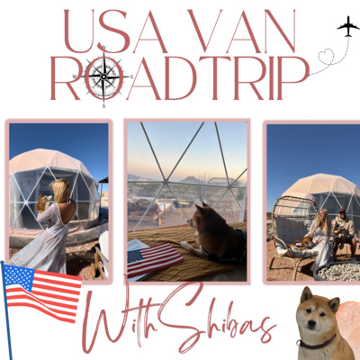 USA VAN ROADTRIP WITH SHIBAS