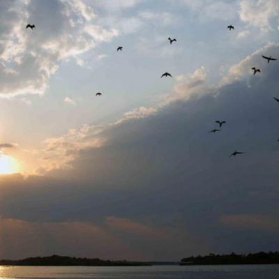 Morning on the Zambezi River